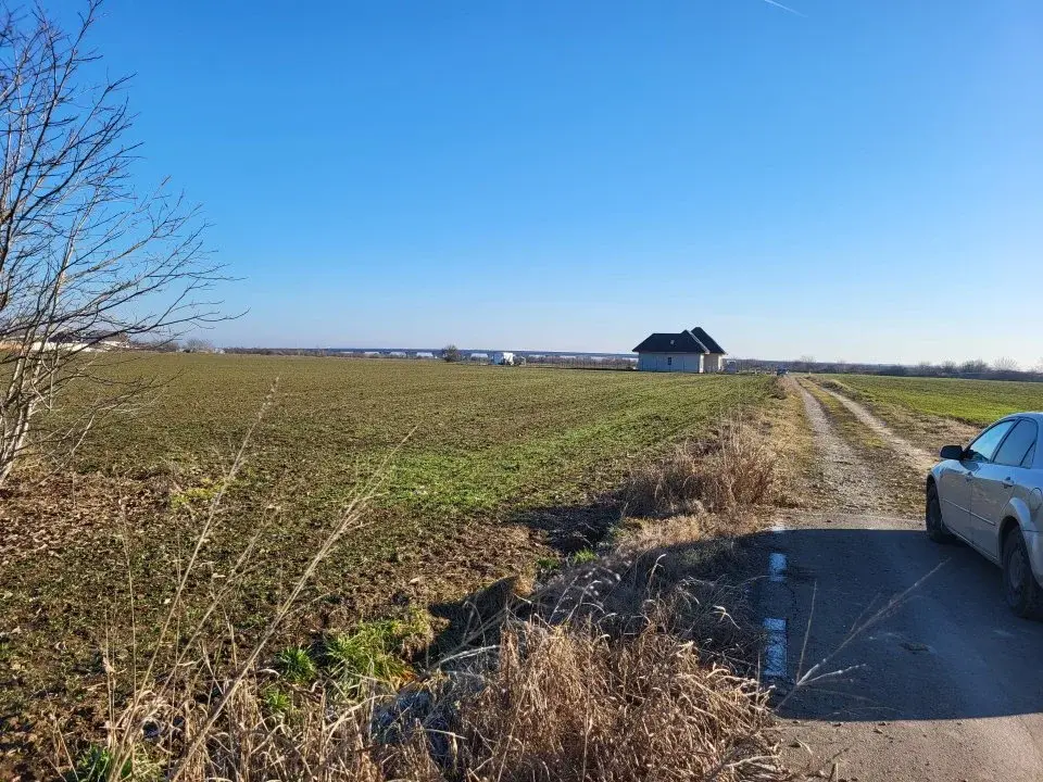 Teren Moara Vlasiei 1500 mp str Trandafirului principala